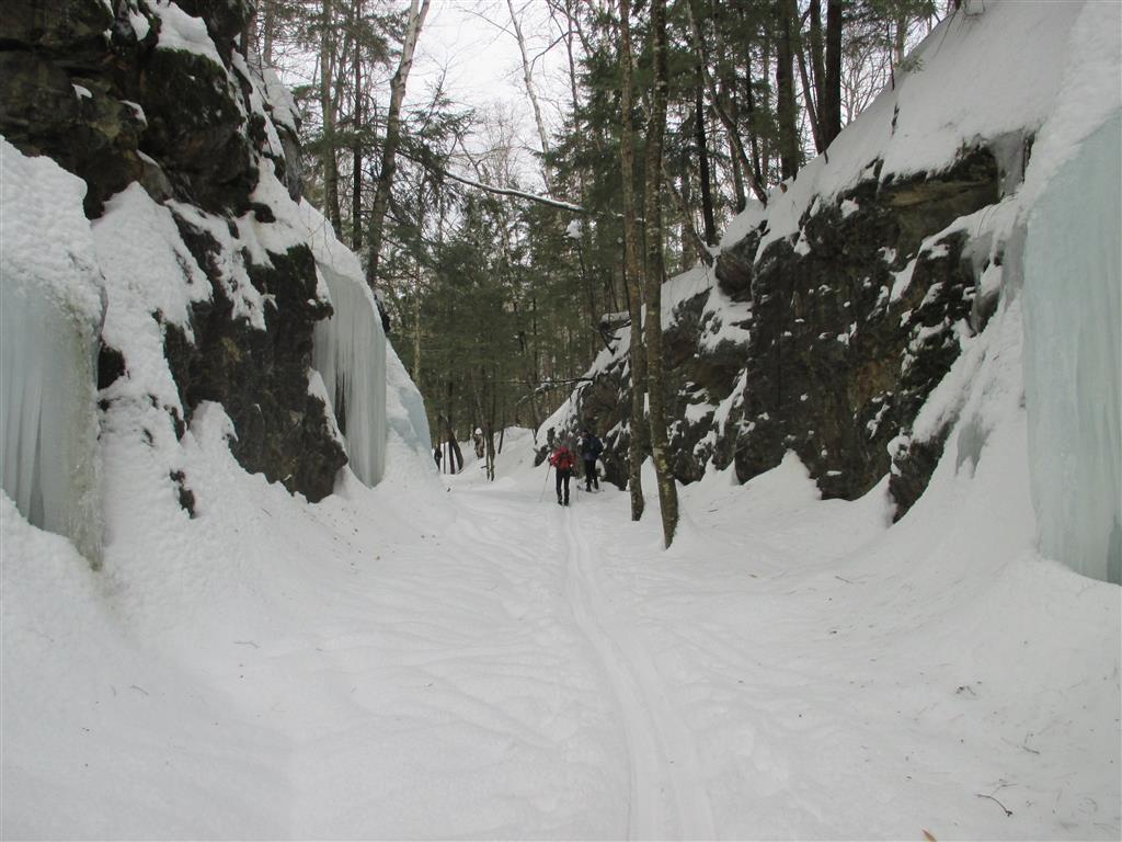 Photo by Marie Bartlett